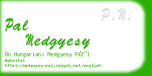 pal medgyesy business card